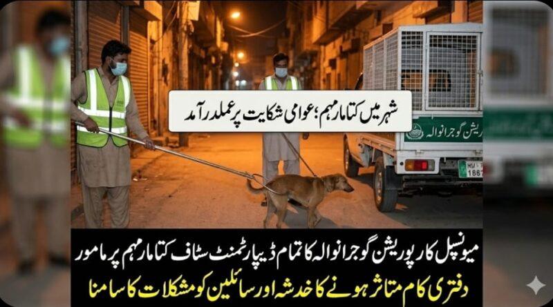 gujranwala-municipal-corporation-staff-dog-culling-campaign-