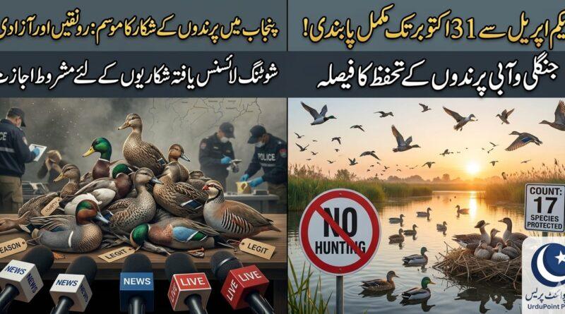 hunting-ban-punjab-wildlife-migratory-birds-notification