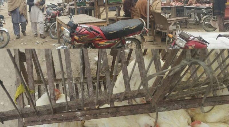 over-charging-in-qabola-shareef