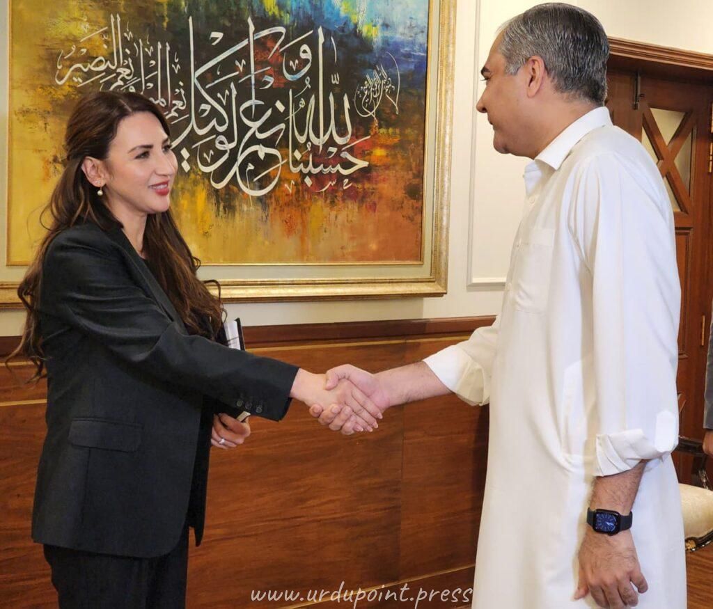 ​وفاقی وزیر داخلہ محسن نقوی اور امریکی سفیر نیٹلی بیکر کی وزارت داخلہ میں ملاقات کا منظر
