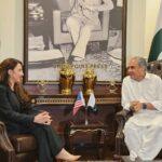 ​mohsin-naqvi-natalie-baker-meeting-islamabad.